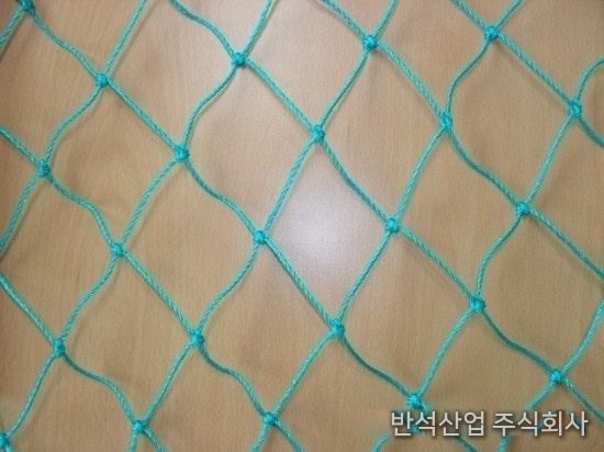 망 확대 모습