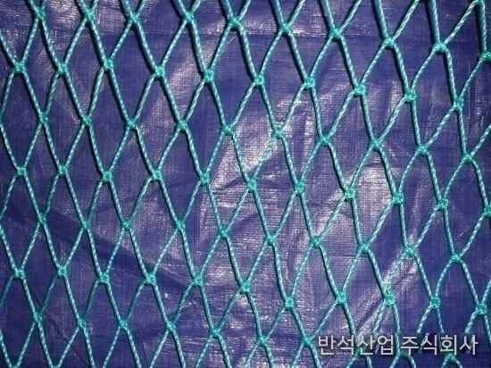 망 확대 모습