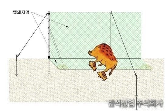 멧돼지 방지망 설치 원리
