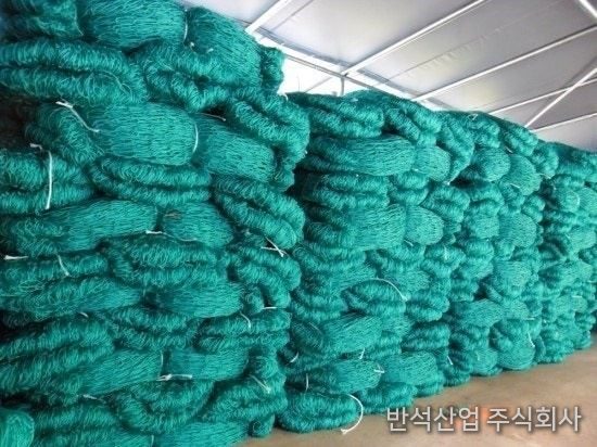 피이망 완제품
