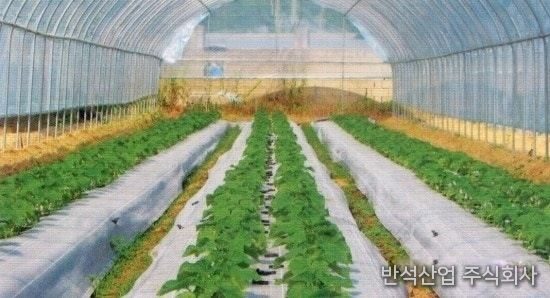 그라운드 시트 시공 모습