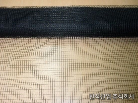 꽃매미망