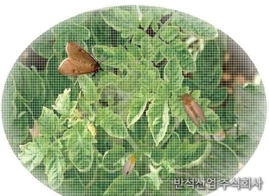 방충망 적용 예