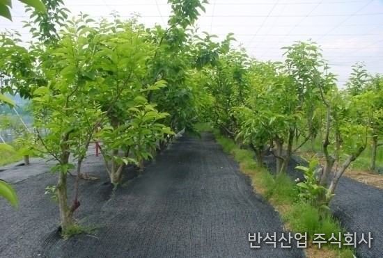 반석 방초망 시공 완료 모습