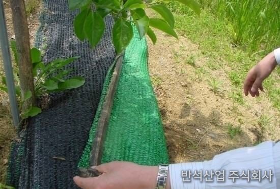 방초망이 설치되었던 옆면과 확실한 차이
