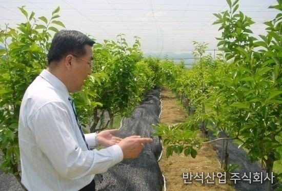 방초망이 설치되었던 옆면과 확실한 차이