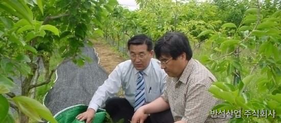 방초망이 설치되었던 옆면과 확실한 차이