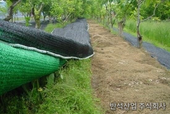 (시험결과) 반석 방초망을 설치하고 10일 경과 후 예