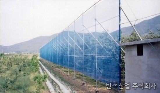 과수원에 설치된 청색 반석 방풍망