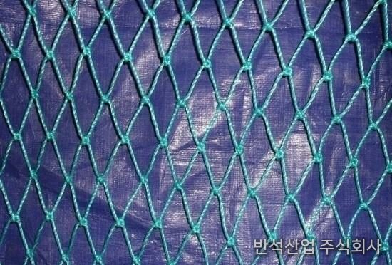 2mm 60mm × 60mm 녹색 샘플