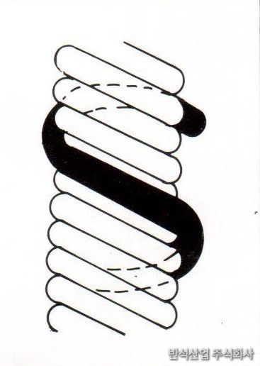 우꼬임 (S Twist)